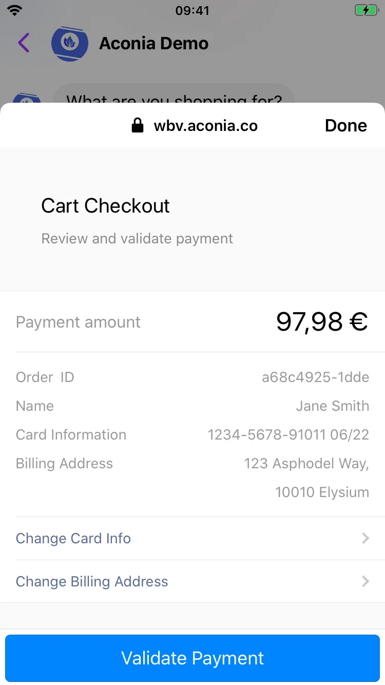Screenshot of a payment integration webview